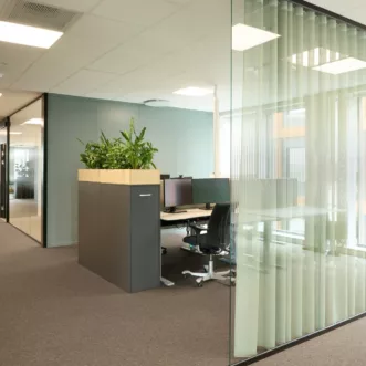 2024 Bergen Head Energy Studio Neon Haara 21