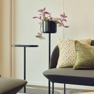 2024 Bergen Head Energy Studio Neon Haara 1