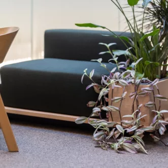 Lindbak 034 Logistea sofa plante