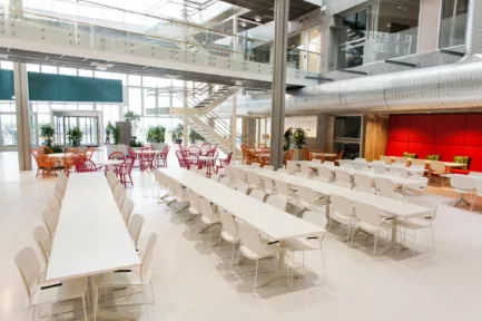 Lindbak Miljødirektoratet Trondheim Dn Eating