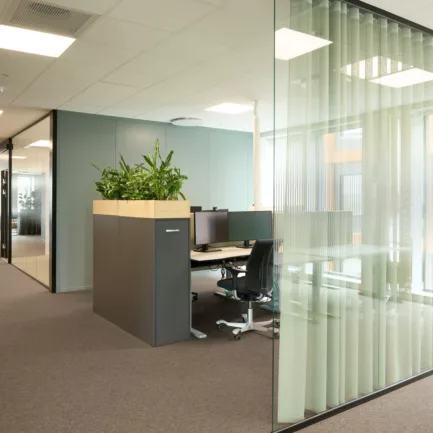 2024 Bergen Head Energy Studio Neon Haara 21