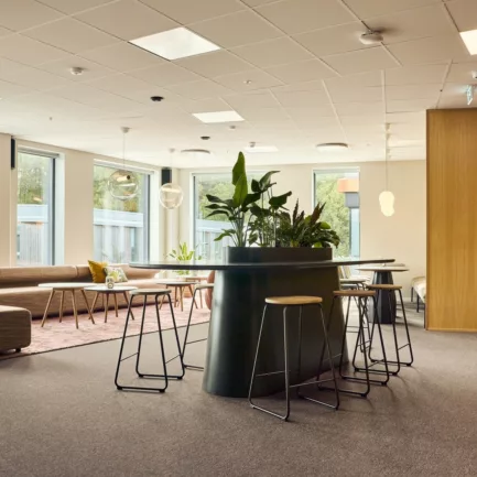 2024 Bergen Head Energy Studio Neon Haara 11