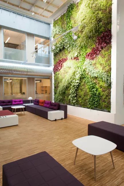Lindbak Miljødirektoratet Trondheim Dn Sosial Plantwall2