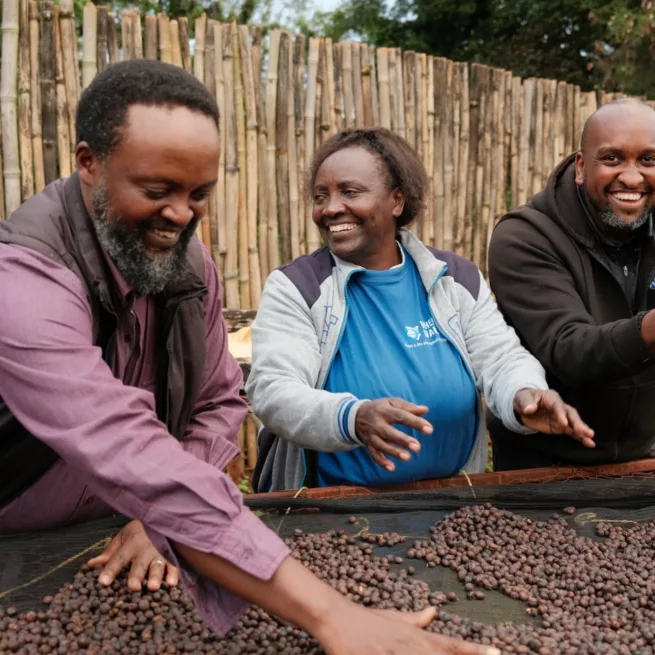 Kenya Tur Cemo torking kaffe mennesker