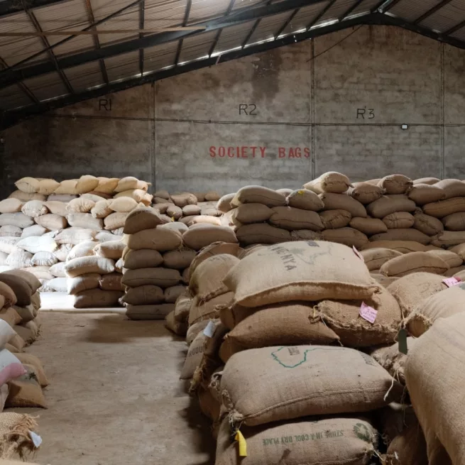 Kenya Tur Lindbak Cemo kaffesekker 1