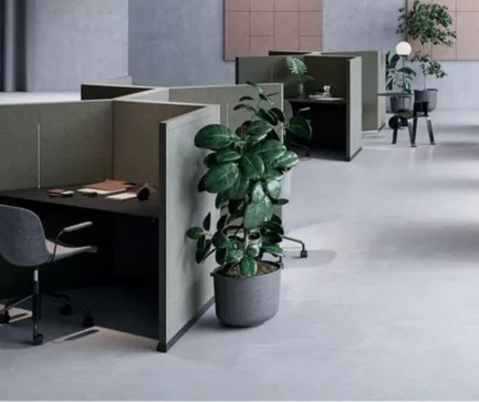 Abstracta arbeidsplass plante gront lyd