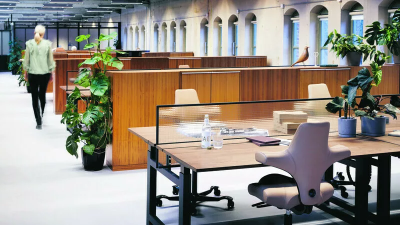 Haag Capisco 8106 Leather skinn arbeidsplassen kontor menneske