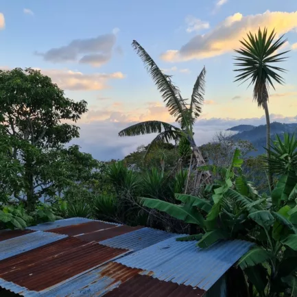 20211209 170207 Cemo Honduras Finca Jericho Bonde Griselda Zelaya