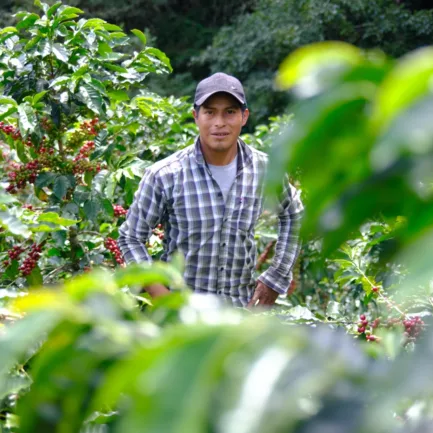 Honduras Tur Alejandro Aguilar Lindbak 2024 2