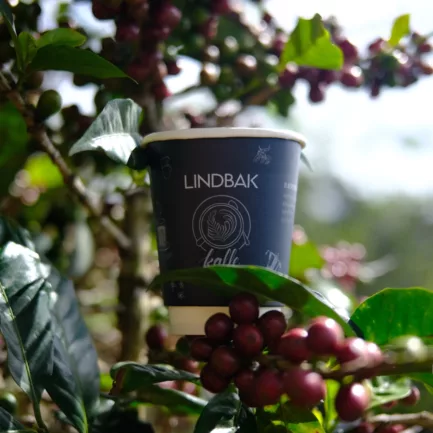 Honduras Tur Alejandro Aguilar Lindbak 2024 13