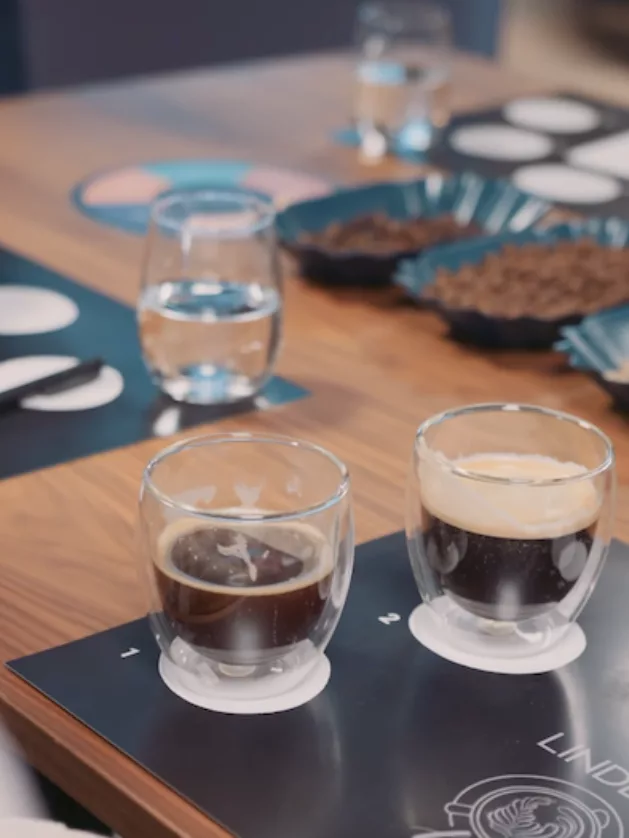 LINDBAK kaffesmaking bonner