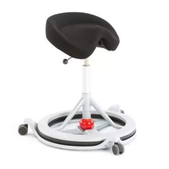 Backapp-wheel_81724.jpg