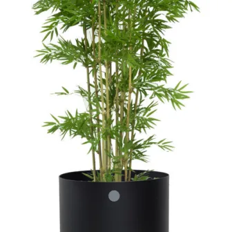 Cane-Line.-Grow.-Produktbilde-5772ALI-2_95287.jpg