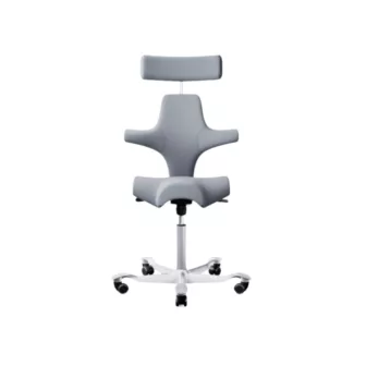 Capisco 8107