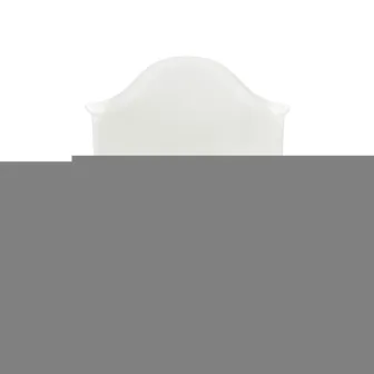 Eames Plastic Armchair DAR