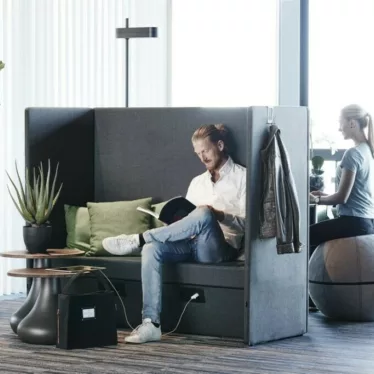 Fiolinfiken grønnplante