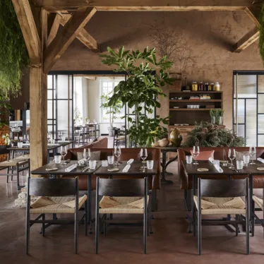 Nestor m/armlen