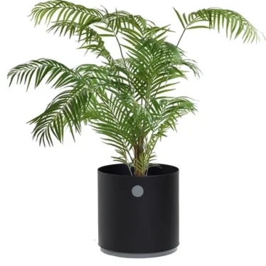 Grow liten