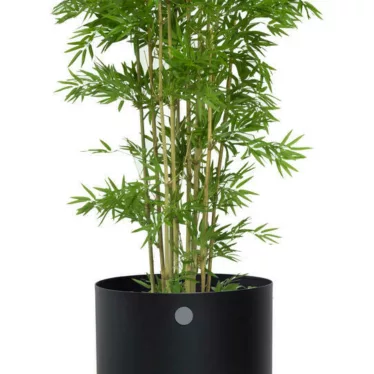 Grow medium