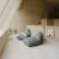 Sitt bean bag, Synergy