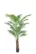 Areca Palm kunstig plante
