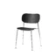 Co Chair