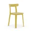 All Plastic Chair (APC)